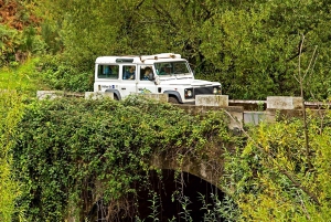 Мадейра: Мини-комбо East Challenge: Джип-сафари + Левада