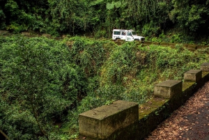 Мадейра: Мини-комбо East Challenge: Джип-сафари + Левада