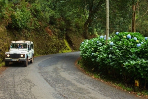 Мадейра: Мини-комбо East Challenge: Джип-сафари + Левада