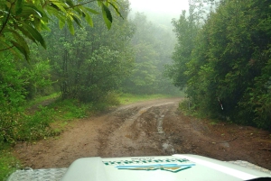 Мадейра: Мини-комбо East Challenge: Джип-сафари + Левада