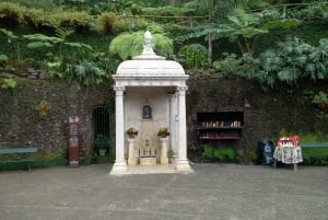 Madera: Wycieczka krajoznawcza Monte i przejażdżka saniami saneczkowymi