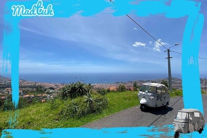 Madeira: Monte Toboggan & Altstadt-Tuk-Tour mit MadTuk