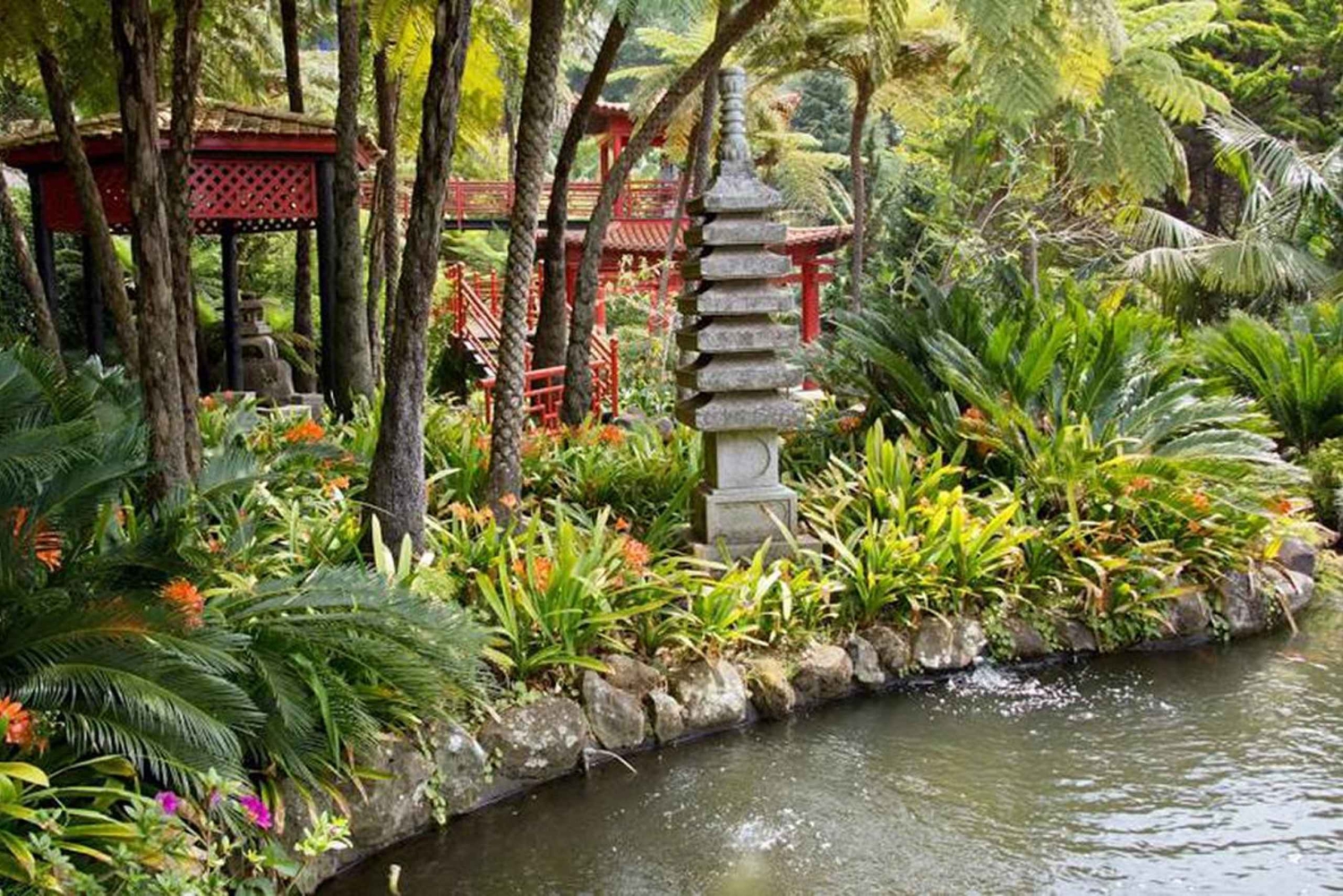 マデイラ：モンテ・トロピカル・ガーデンズ + マデトゥクによる旧市街のトゥクトゥク