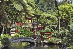 マデイラ：モンテ・トロピカル・ガーデンズ + マデトゥクによる旧市街のトゥクトゥク