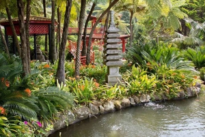 マデイラ：モンテ・トロピカル・ガーデンズ + マデトゥクによる旧市街のトゥクトゥク