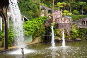 マデイラ：モンテ・トロピカル・ガーデンズ + マデトゥクによる旧市街のトゥクトゥク