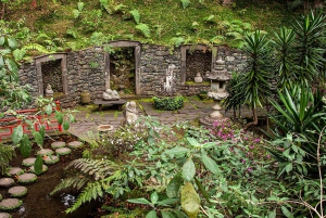 マデイラ：モンテ・トロピカル・ガーデンズ + マデトゥクによる旧市街のトゥクトゥク