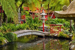 マデイラ：モンテ・トロピカル・ガーデンズ + マデトゥクによる旧市街のトゥクトゥク