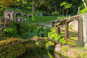 マデイラ：モンテ・トロピカル・ガーデンズ + マデトゥクによる旧市街のトゥクトゥク