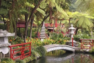 マデイラ：モンテ・トロピカル・ガーデンズ + マデトゥクによる旧市街のトゥクトゥク