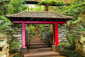 マデイラ：モンテ・トロピカル・ガーデンズ + マデトゥクによる旧市街のトゥクトゥク