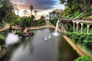 マデイラ：モンテ・トロピカル・ガーデンズ + マデトゥクによる旧市街のトゥクトゥク