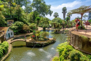 マデイラ：モンテ・トロピカル・ガーデンズ + マデトゥクによる旧市街のトゥクトゥク