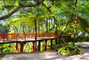 マデイラ：モンテ・トロピカル・ガーデンズ + マデトゥクによる旧市街のトゥクトゥク