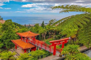 マデイラ：モンテ・トロピカル・ガーデンズ + マデトゥクによる旧市街のトゥクトゥク