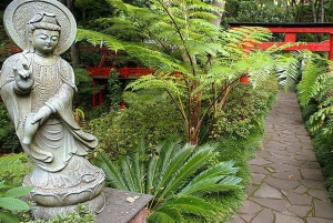 マデイラ：モンテ・トロピカル・ガーデンズ + マデトゥクによる旧市街のトゥクトゥク