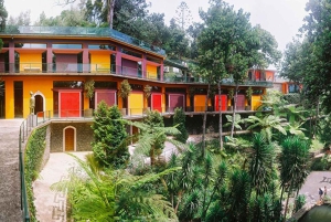 マデイラ：モンテ・トロピカル・ガーデンズ + マデトゥクによる旧市街のトゥクトゥク