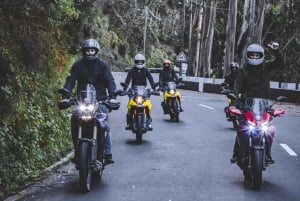 Madeira: Motorbike Rental