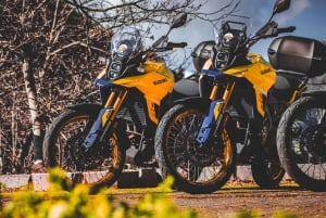 Madeira: Motorbike Rental