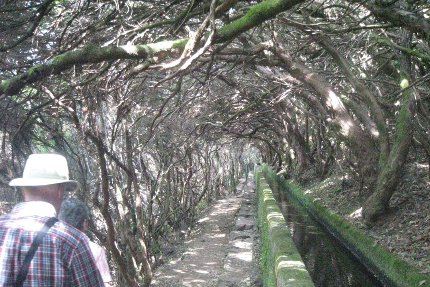 Madeira: Bergsvandring med lagun och vattenfall