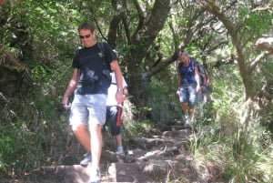 Madeira: Mountain Walk with Lagoon and Waterfalls