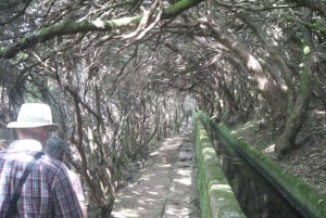 Madeira: Mountain Walk with Lagoon and Waterfalls