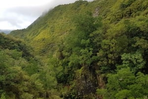 Madeira: Mountain Walk with Lagoon and Waterfalls