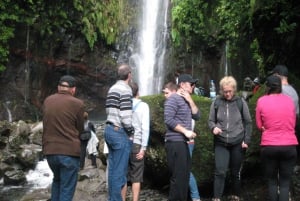 Madeira: Mountain Walk with Lagoon and Waterfalls