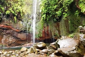 Madeira: Bergsvandring med lagun och vattenfall