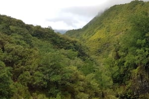 Madeira: Bergsvandring med lagun och vattenfall