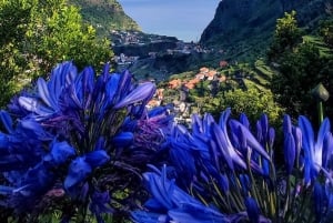 Madeira 'Mystery Tour' Full-Day - Private 4x4 Jeep