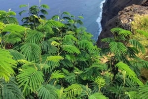 Madeira 'Mystery Tour' Full-Day - Private 4x4 Jeep