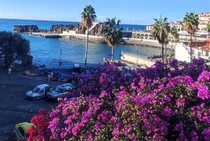 Madeira 'Mystery Tour' Half-Day - Private 4x4 Jeep