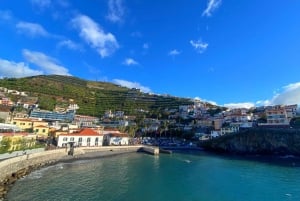 Madeira 'Mystery Tour' Half-Day - Private 4x4 Jeep