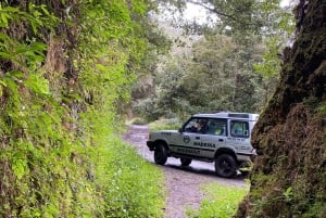 Madeira 'Mystery Tour' Half-Day - Private 4x4 Jeep