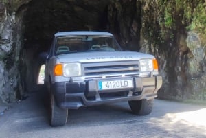 Madeira 'Mystery Tour' Half-Day - Private 4x4 Jeep