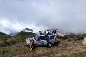 Madeira 'Mystery Tour' Half-Day - Private 4x4 Jeep