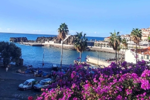 «Таинственный тур» по Мадейре, полдня — частный джип 4x4