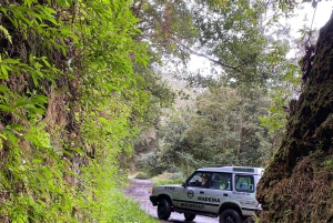 «Таинственный тур» по Мадейре, полдня — частный джип 4x4