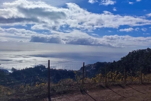 «Таинственный тур» по Мадейре, полдня — частный джип 4x4