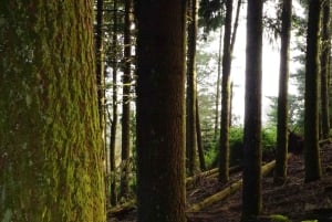 Madère : aventure à vélo sur la côte nord