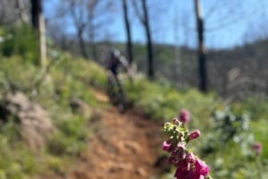 Madère : aventure à vélo sur la côte nord