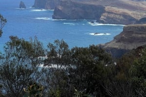 Madeira private 4x4 tour: North-East Coast