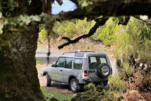 Madeira private 4x4 tour: North-East Coast