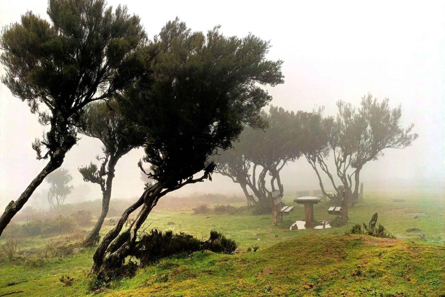Madeira: Noordelijke tour