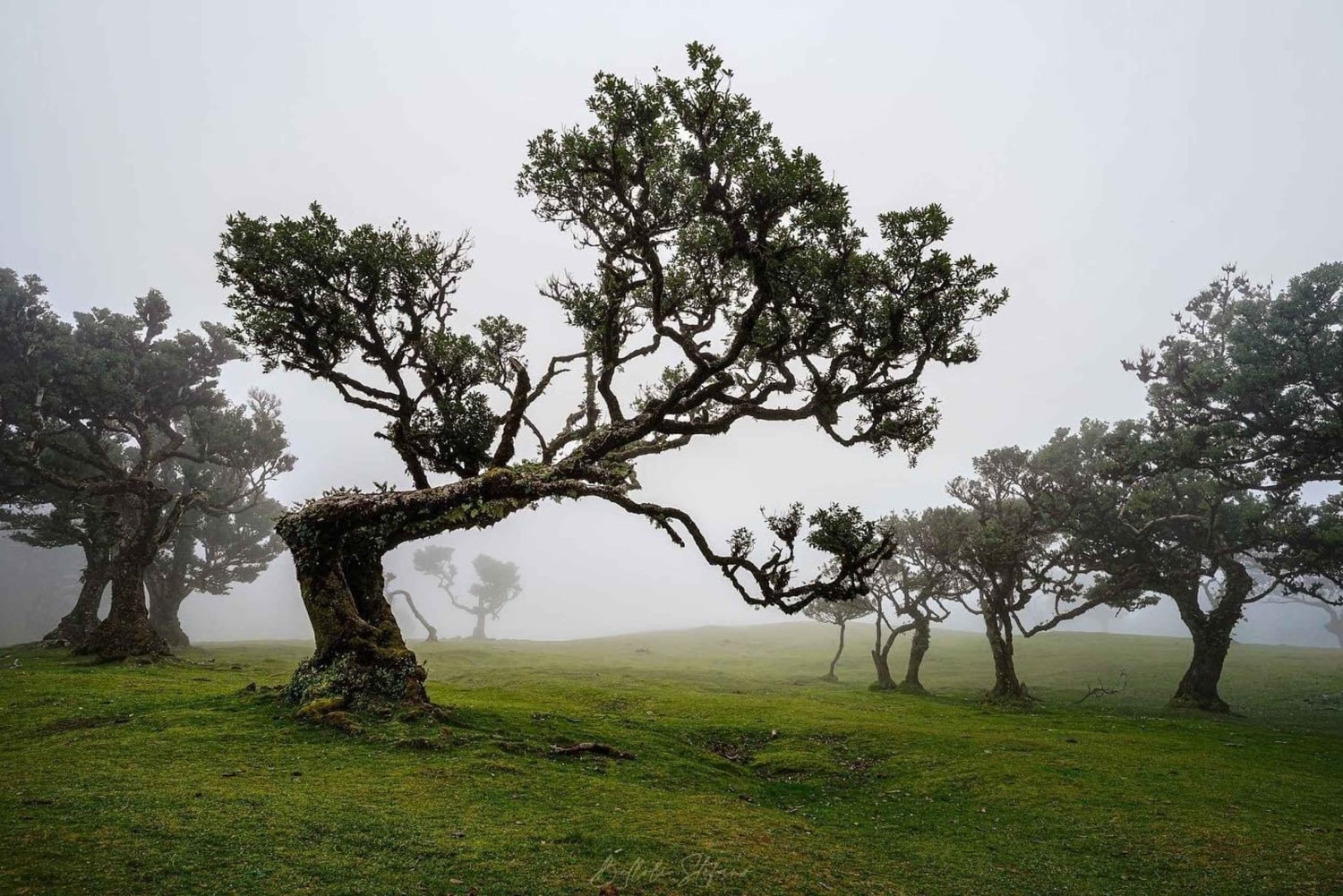 Madeira: Noordelijke tour