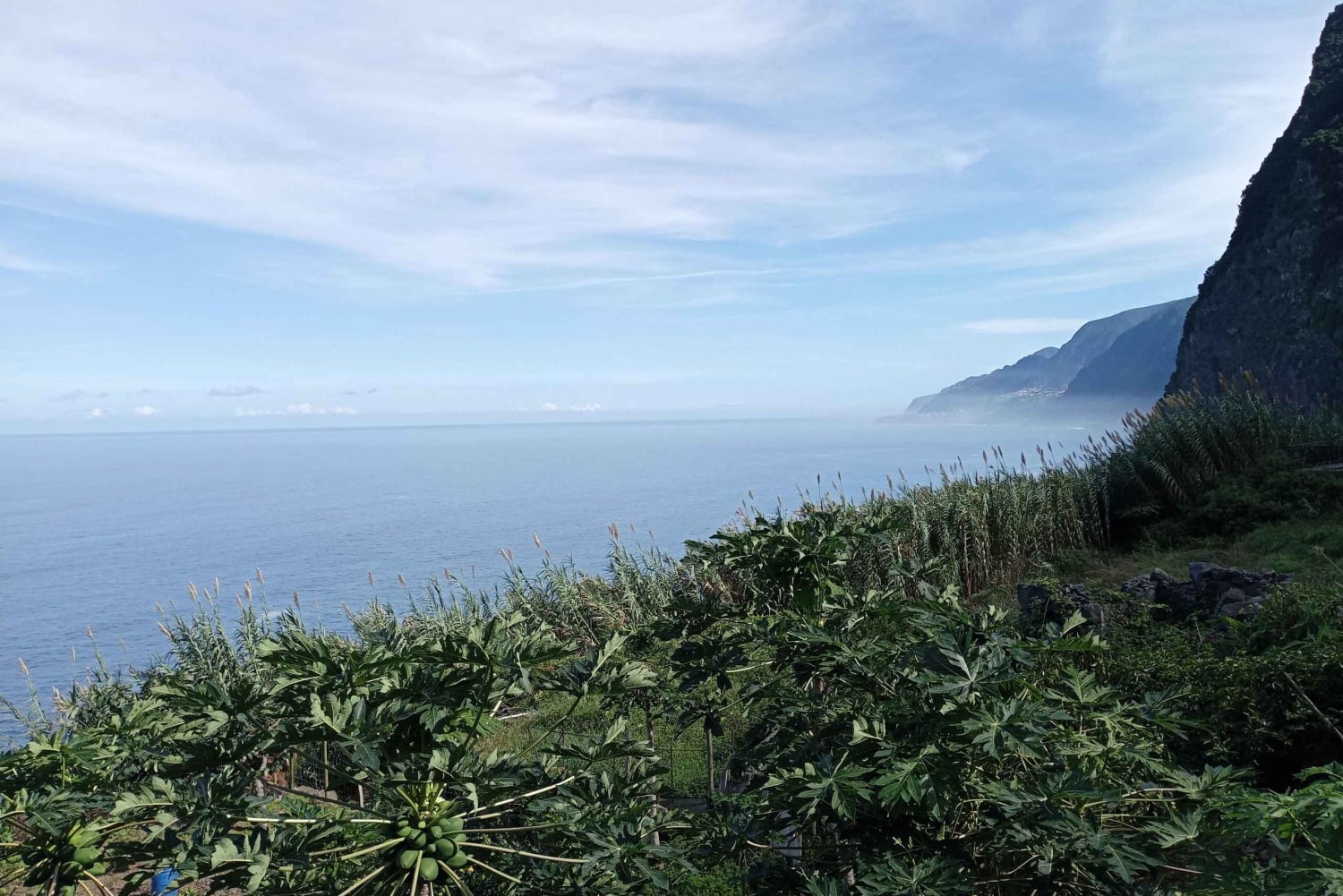 Madeira: Noordelijke tour