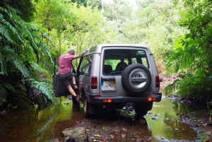 Madeira Northern Express, Private tour 4x4