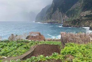 Madeira Northern Express, Privat tur 4x4