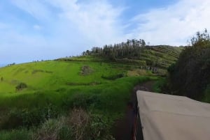 Madeira: Jeep-tur i det nordvestlige Madeira